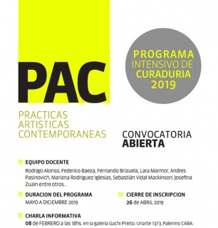 Proyecto PAC: Programa intensivo de curaduría. 8ta. edición | 2019