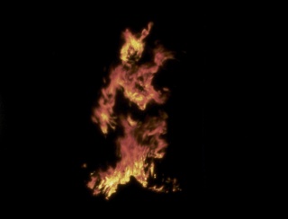 Ana Mendieta, Untitled: Silueta Series, 1978. Super-8mm film transferred to high definition digital media, color, silent. Running time: 6:31 minutes (GP1929). ©The Estate of Ana Mendieta Collection, LLC. Courtesy Galerie Lelong & Co.