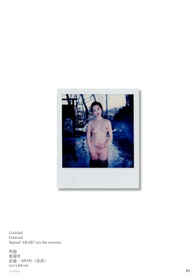 Araki Polaroids