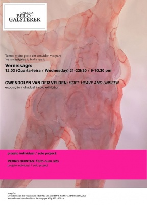 Gwendolyn van Der Velden. Soft, heavy and unseen