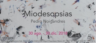 Pedro Noigrandres. Miodesopsias