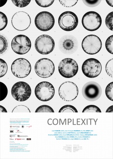 2018-COMPLEXITY-poster