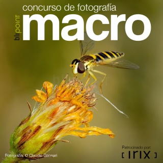 Concurso Fotografía Macro