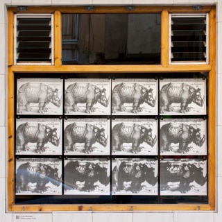 Rhinoceron 1515, la exposición de Aida Moratón en Ora Labora Studio