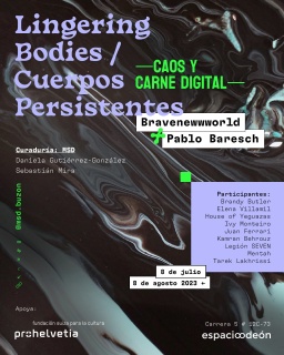 Lingering Bodies/Cuerpos persistentes —caos y carne digital—