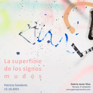 Patricia Sandonis. La superficie de los signos mudos