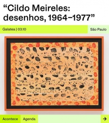 Cildo Meireles: desenhos, 1964-1977.