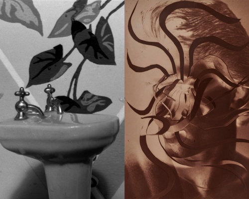 [left] Laurie Simmons, Sink/Ivy/Wallpaper, 1976, gelatin silver print, 13.3 x 20.3 cm //  [right] Jimmy DeSana, Eyelashes #2, c. 1985, cibachrome, 12.1 x 8.9 cm — Imagen cortesía de Mendes Wood DM