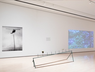 Installation view at the Eli and Edythe Broad Art Museum at Michigan State University, East Lansing, 2020. Photo: Eat Pomegranate Photography. Courtesy of MSU Broad and ICI