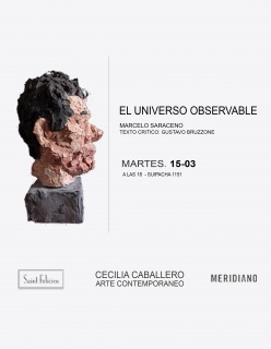 EL UNIVERSO OBSERVABLE - Marcelo Saraceno  - Galeria Cecilia Caballero