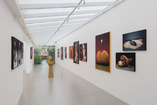 Vista de la exposición "Shunga: Serenos & Ofegantes" de Gal Oppido — Cortesía de la Galeria Lume