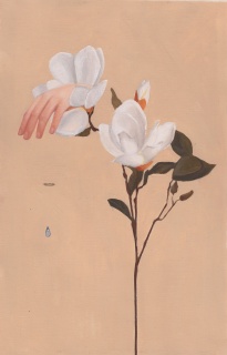 Alba Rivadulla Duró, La zarpa de la magnolia — Cortesía de miscelanea