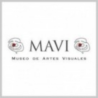 Museo de Artes Visuales - MAVI
