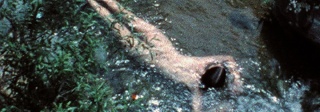 COVERED IN TIME AND HISTORY: DIE FILME VON ANA MENDIETA