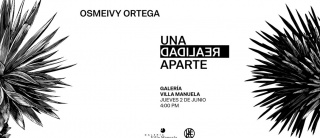 Osmeivy Ortega. Una realidad aparte