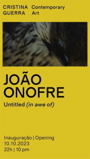 João Onofre. Untitled (in awe of)