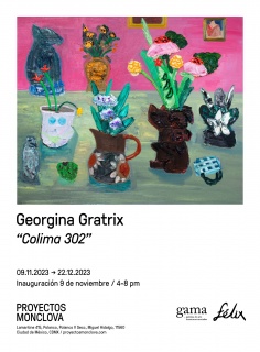 Georgina Gratrix. Colima 302