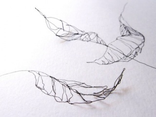 Hojas. Detalle. 2015. Dibujo a tinta, alambre y sombra. 35 x 42 cm