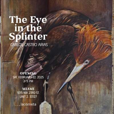 Carlos Castro. The eye in the splinter