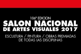 106º SALÓN NACIONAL DE ARTES VISUALES 2017
