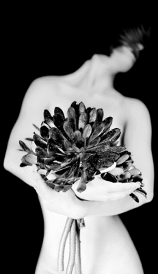 Imagining Tina: A dialogue with Edward Weston