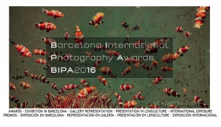 Barcelona International Photography Awards. BIPA 2016