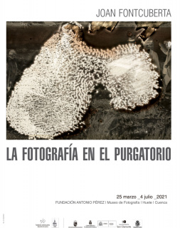 Joan Fontcuberta. La fotografía en el purgatorio