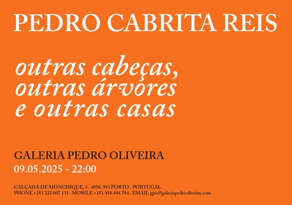 Pedro Cabrita Reis: outras cabeças, outras árvores e outras casas