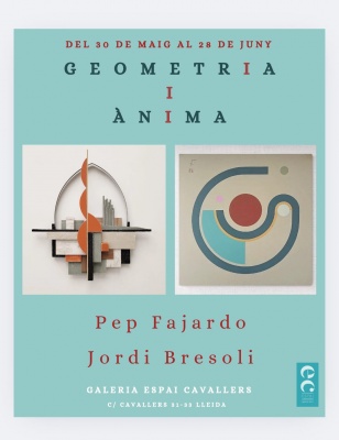 Geometria i ànima