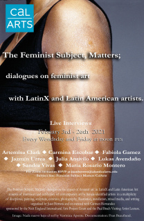 The Feminist Subject, Matters; dialogues on the impact of feminist art in LatinX and Latin American artists
