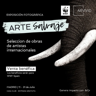 Exposición "Arte Salvaje"