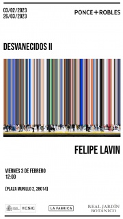 Felipe Lavin. Desvanecidos II