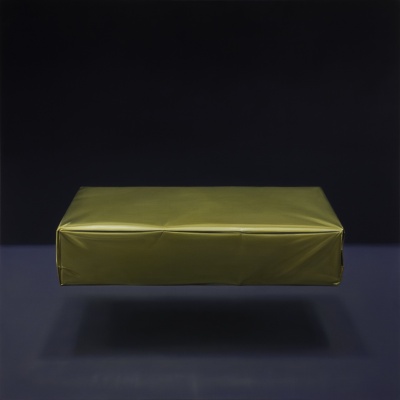 Javier Peláez. Algunas mentiras flotan #3, 120x120 cm., óleo sobre lino, 2022
