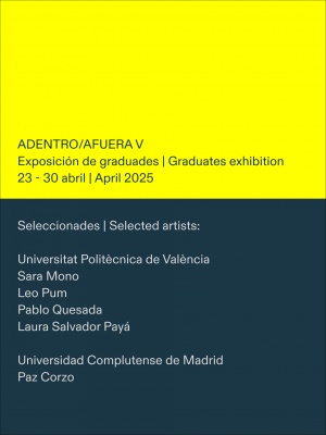 Adentro/Afuera V