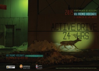 VIII Premio de Videoarte del Ayuntamiento de Astillero-El Almacén de las Artes 2015