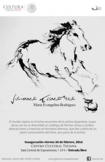 María Evangelina Rodríguez, Visiones ecuestres