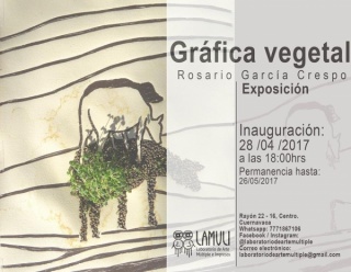 Rosario García Crespo. Gráfica vegetal