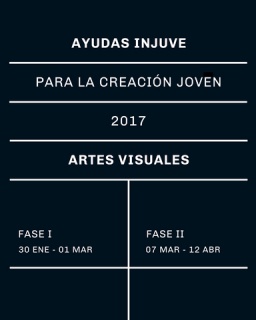 Ayudas Injuve para la Creación Joven 2017 Artes Visuales - Fase II