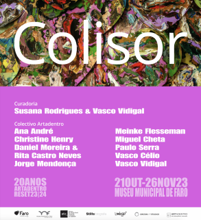 Colisor, ciclo Reset 23/24, Colectivo Artadentro