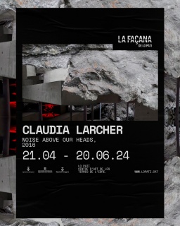 Claudia Larcher. Noise Above heads