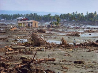 Francisco Magallón, Destrozos causados por el tsunami, 2004