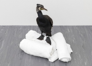 Simon Dybbroe Møller, Cormorous, 2015. Taxidermized cormorant, hotel towels. Courtesy Francesca Minini & Laura Bartlett Gallery. Image copyright Belvedere, Vienna / photographer: Johannes Stolls.