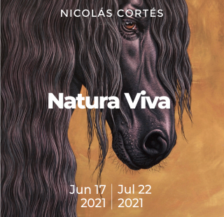 Exposición Natura Viva