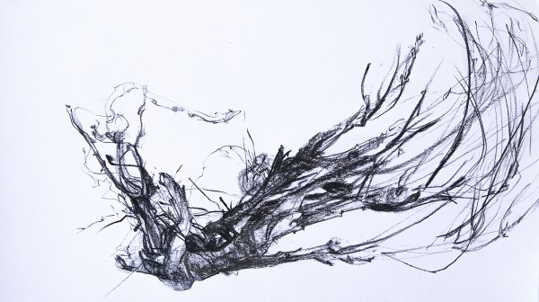 Marta Morón, Raiz, detalle composición. 22x39 cm.