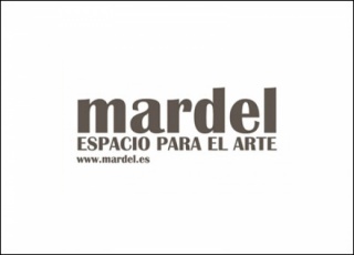 Premio Mardel: Artes Visuales