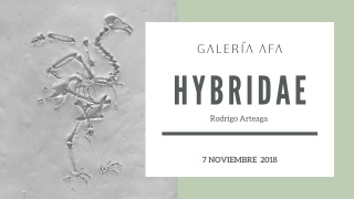 Hybridae