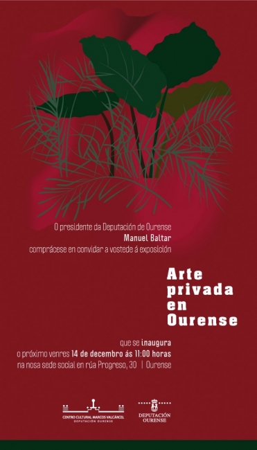 Arte privada en Ourense