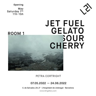 Petra Cortright. jet fuel gelato sour cherry
