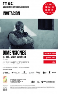 DIMENSIONES. Imagen cortesía Museo de Arte Contemporáneo de Salta