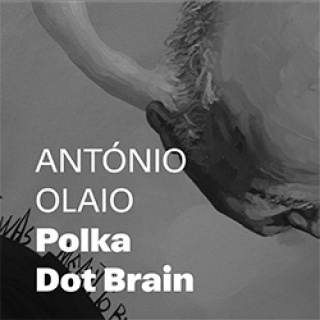 António Olaio. Polka Dot Brain